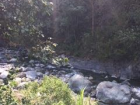 The rocks had green algae stuck to them, which made the water look dark