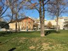 A park near my house where I often see children and dogs playing 