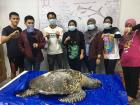 Students study the dead turtle hoping to discover its cause of death