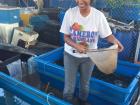 Anupa feeds the shrimp in the hatchery