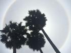 A rare round rainbow crowned the sky