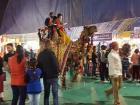 On the weekend a lot of kids head to the local fair with their families