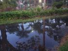 Flooded street that turned into a river