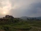 Beautiful rice fields at dusk in Central Vietnam