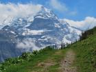 View of the Swiss Alps from a hiking trail 