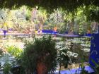 Visit to Jardin Majorelle 