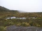 Fraylejon surrounds the Laguna Iguaque.