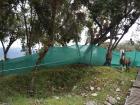 Who do you think this green tarp meant to keep out? This tarp is meant to protect the archaeological dig.