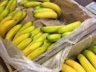 Chocao is made with ripe bananas; the green on these bananas shows that they won't be soft and sweet enough
