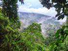 The Darién region borders Colombia, and the forest is much denser and more dangerous than here on Barro Colorado Island