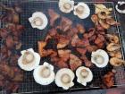 Many Korean foods are based off of land and sea food; clams, shrimp, chicken and beef are all being grilled for this family meal