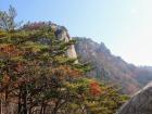 Seasons changing against the mountains in Korea