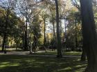 The Parque de Sanfrancisco