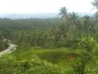 The Philippine countryside: green for miles on end!