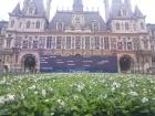 A field of flowers sits in front of City Hall in commemoration of Armistice Day