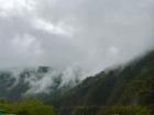 The jungle in Argentina is a vibrant green always covered in low flying clouds! This keeps everything very wet and makes you feel like you can almost touch the sky. 