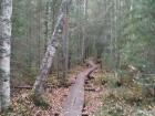 We used a boardwalk to get around wet areas