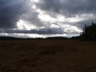 Our hike took us through the forest and across the bog