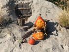 Art made from pumpkins