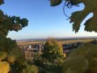 Village among the grape vines