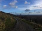 Steeper hills where grape vines grow