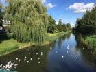 Almere is a beautiful place to play outside!