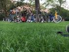 There are 22 million bikes in the Netherlands, and they are everywhere!