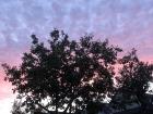 I have seen so many amazing sunsets from my house in Zaandam