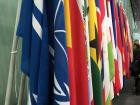 There are hundreds of flags by the main entrance to the ICC