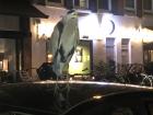 A heron on top of a car in the middle of Amsterdam