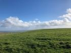 Sheep, cows and horses grazing near the cliffs