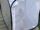 The cobra was safely caught and released in a nearby forest