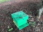 A hive box that houses one of my Eastern hive bee colonies