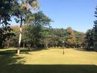 A rare view of the field outside of the dolna without any kids playing- it's a popular spot!