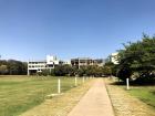 A typical sunny day at my university.