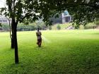 Since it doesn't rain much in winter, my university waters its grass.