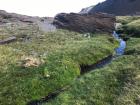 A small stream that supplies the "Las Estrellas de las Nieves" with water that freezes and keeps them alive