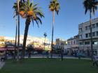 A plaza in Tangier, Morocco with palm trees