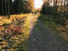 I really like this photo of the hiking trail and how it shows the difference the sun has on the color 