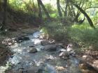 Can you imagine a drought near such a lush mountain stream?