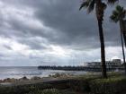 I joined the crowds on the dock waiting to see the cross ceremonially thrown into the sea