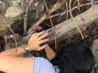 Here's where my best meal began: wild mushroom foraging! (Don't try this at home; I left this to the local experts.)