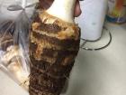 Kirsten takes on a kolokassi (taro root)...