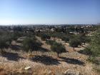 Do you spy any churches on the horizon?