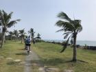 Riding our bikes right next to the ocean was so beautiful, even though (as you can see from the trees) it was a little windy. 