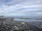 Although my home is in the mountains, there are many beaches just like this not too far away. These are the areas most at risk if garbage isn't collected effectively.