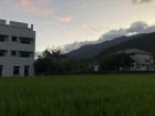 These rice fields are just down the street from Addie's house in Guan Shan