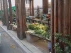 Resting area for the elders nearby where I live 