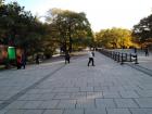 Tranquil road in Beiling Park