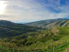 This is what terrace farming looks like! Can you see the steps?